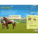 Howrse