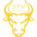 Syneloboost