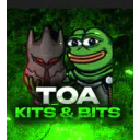 Toa Kits & Bits
