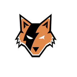 Logo von Foxstore.pro